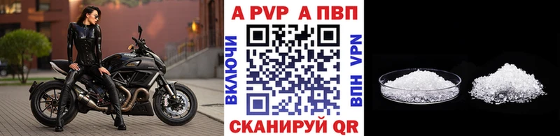 дарнет шоп Курчалой A PVP СК
