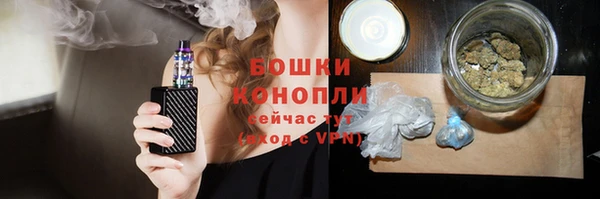 крисы Баксан