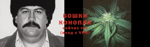 крисы Баксан