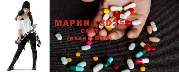 крисы Баксан