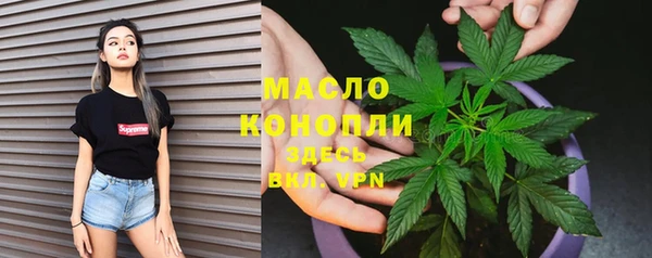 крисы Баксан
